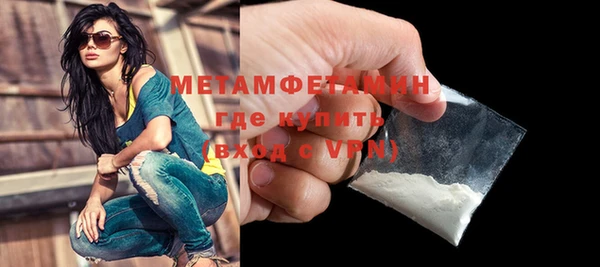 сатива Каменногорск