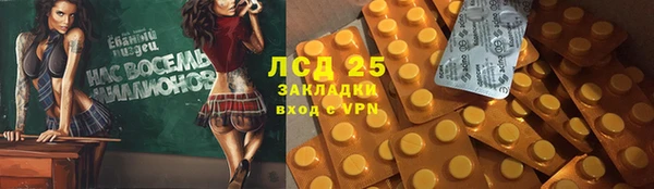 сатива Каменногорск