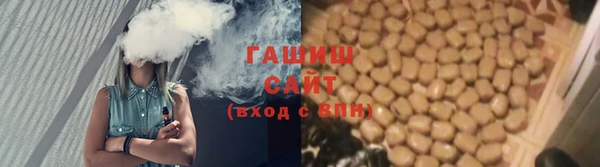 сатива Каменногорск