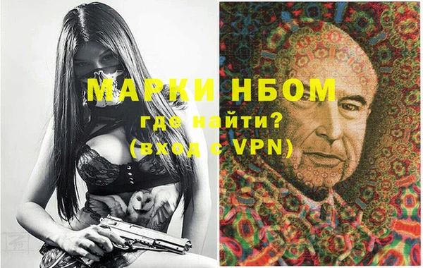 сатива Каменногорск