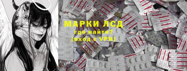 сатива Каменногорск