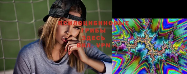 гидропоника Каменка