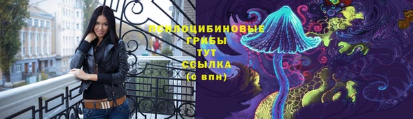 сатива Каменногорск