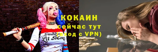сатива Каменногорск