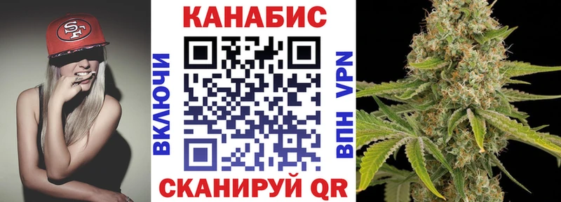 купить   Калязин  omg как войти  Бошки марихуана SATIVA & INDICA 